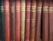 Cary Visitor Volumes