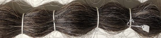 Horse hair