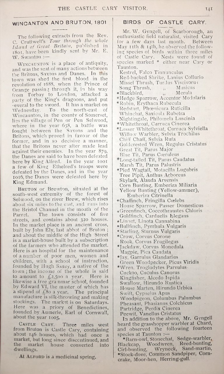 V04-P141