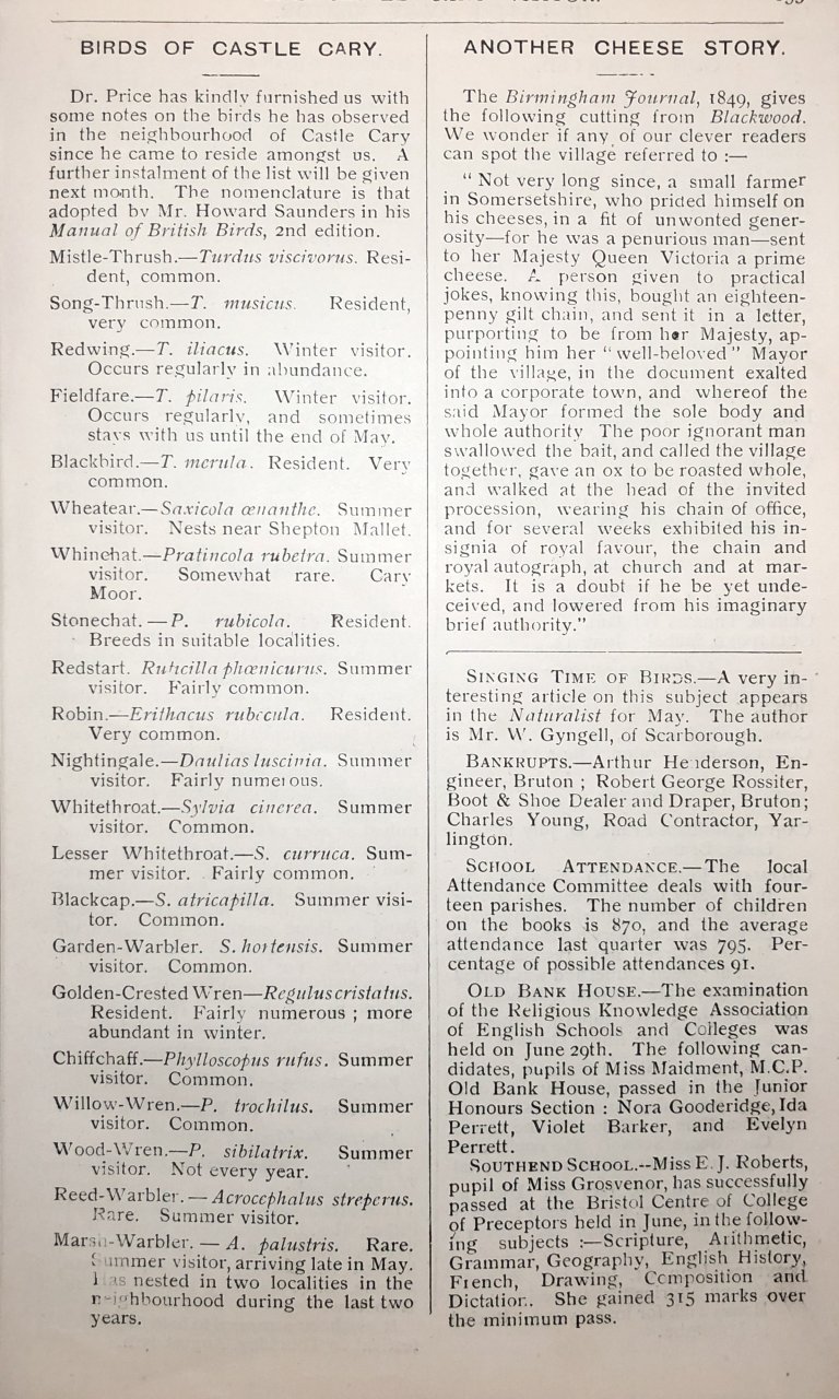 V05-P155