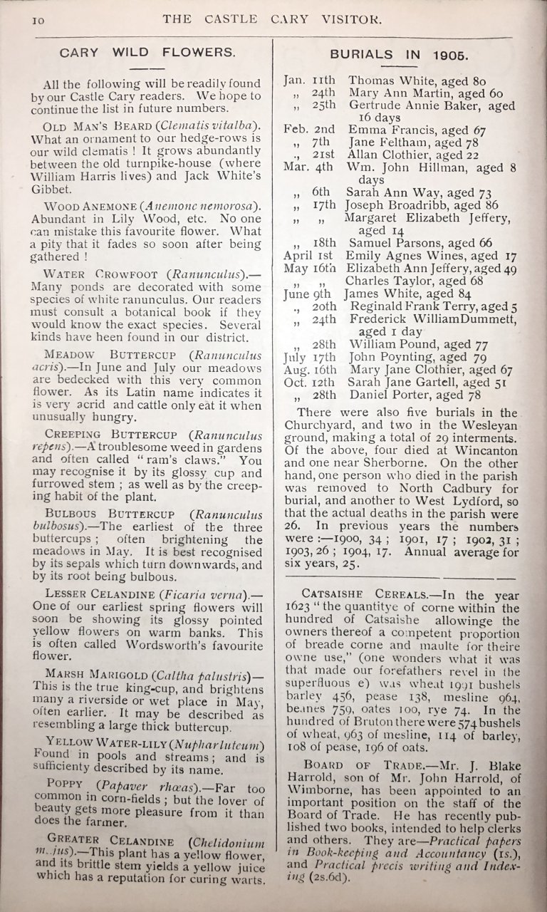 V06-P010