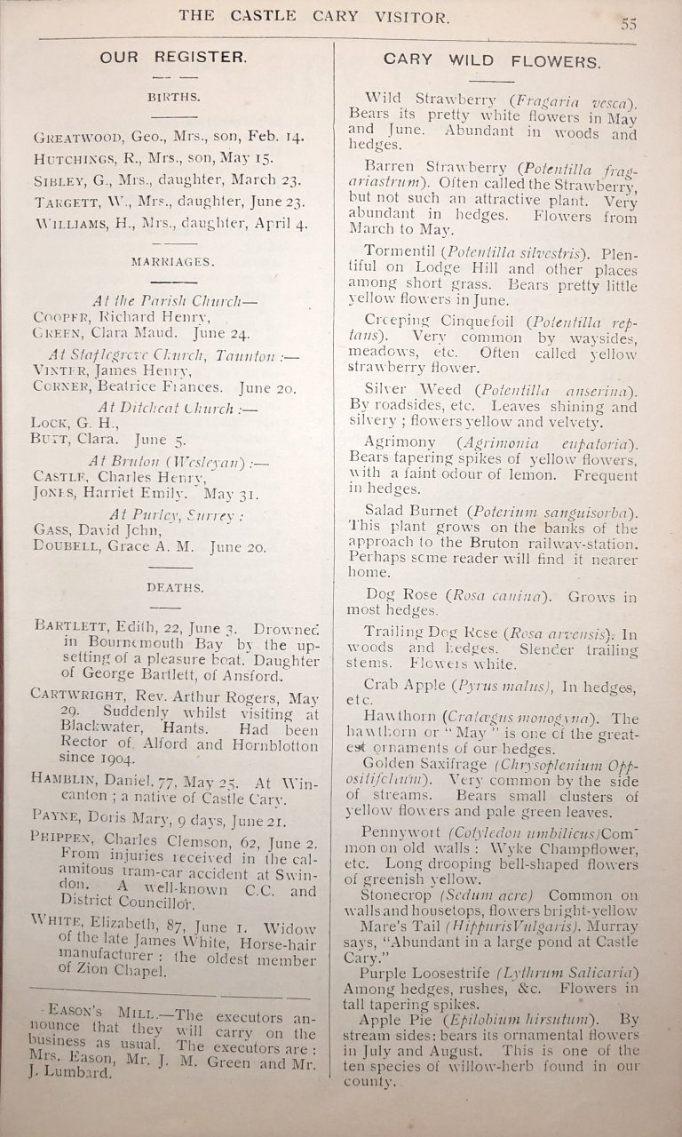 V06-P055