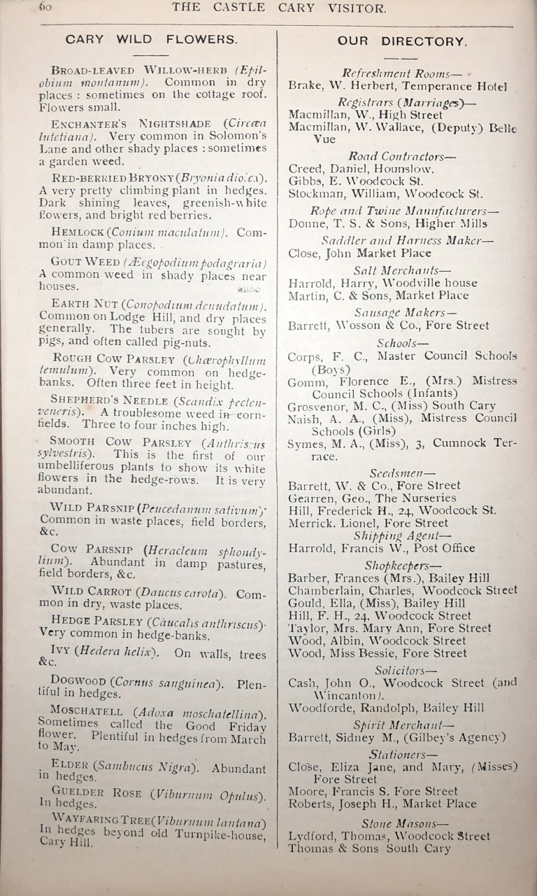 V06-P060