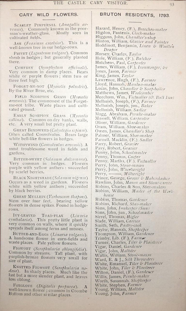 V06-P093