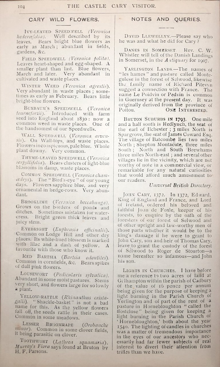 V06-P104