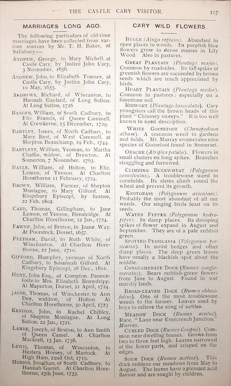 V06-P117