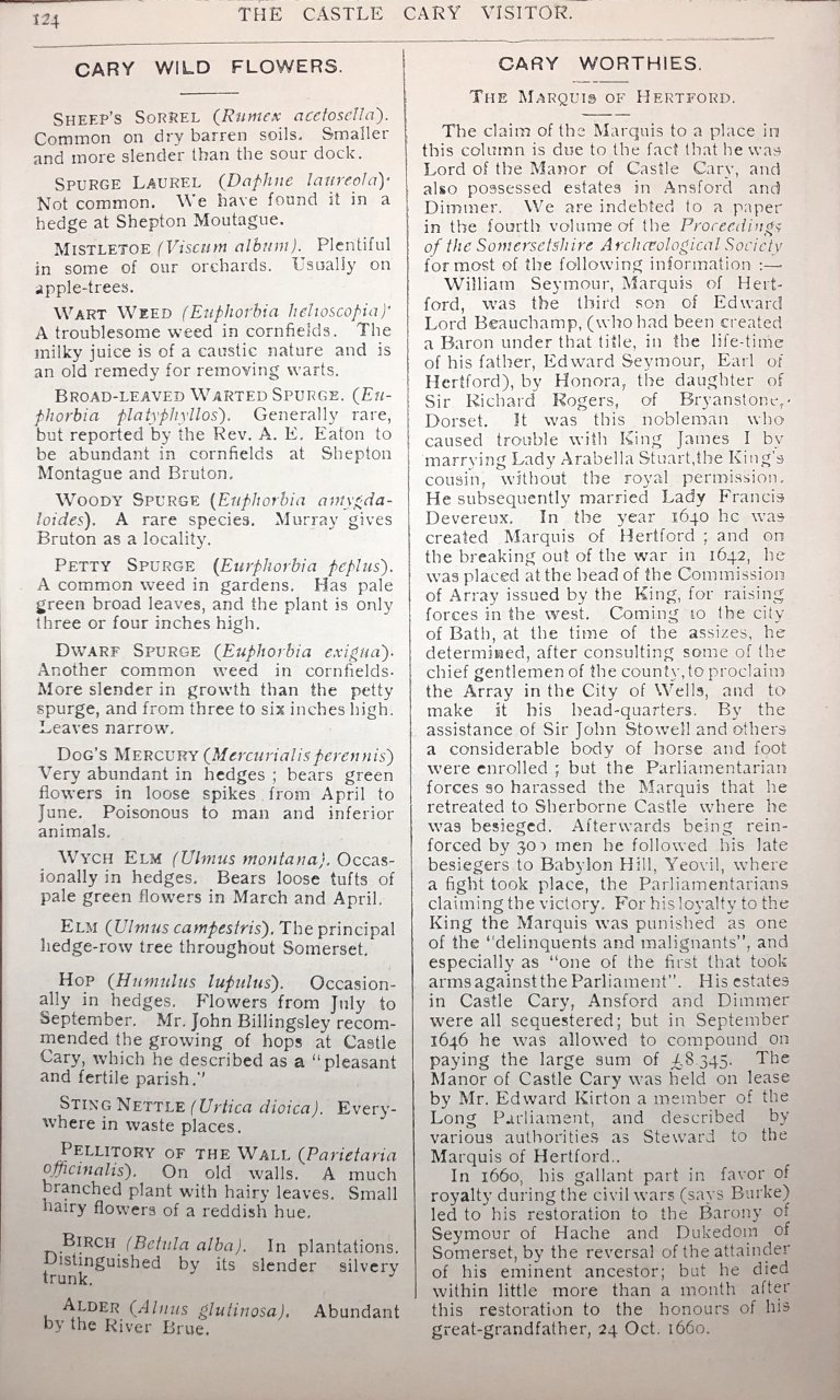 V06-P124