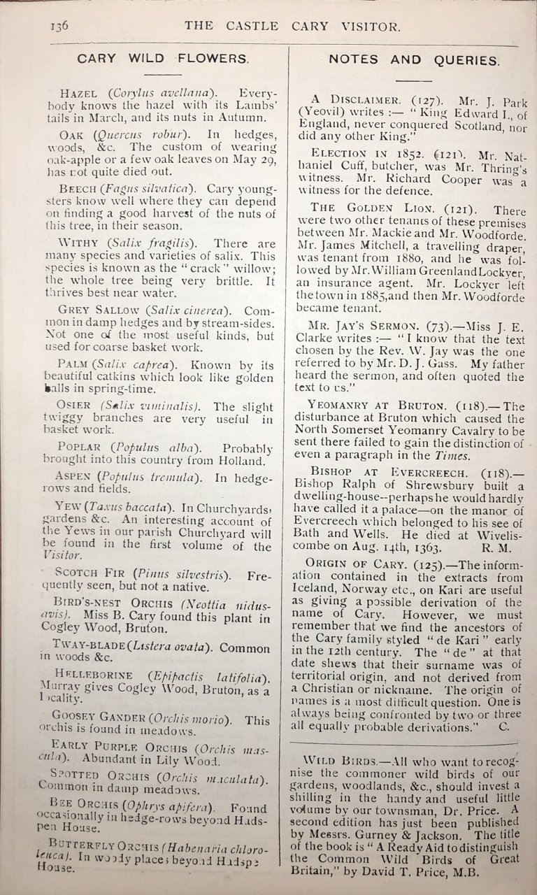 V06-P136