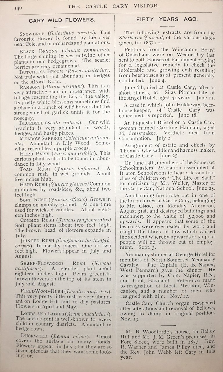 V06-P140
